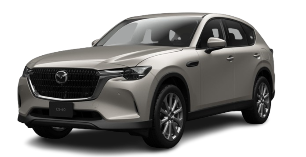 CX60 25S L Package