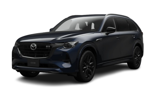 CX80 XD-HYBRID Drive Edition Nappa Leather Package
